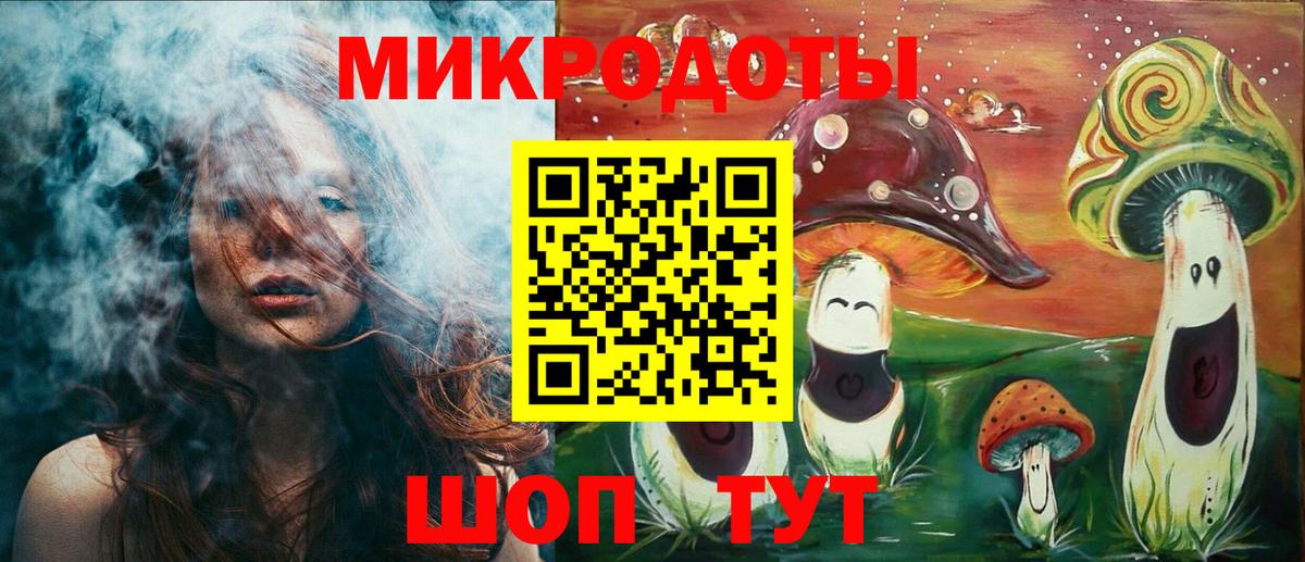 Советская Гавань  Псилоцибиновые грибы прущие грибы  Вход с VPN 